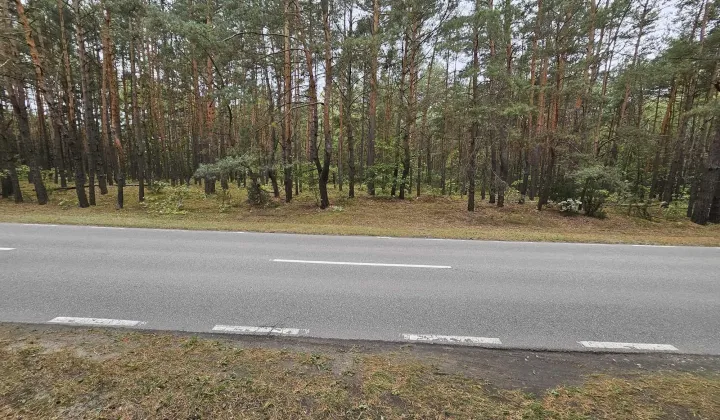 Działka leśna Radzymin Rejentówka, ul. Zygmunta Wróblewskiego