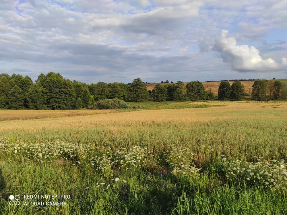Działka budowlana Głotowo. Zdjęcie 3