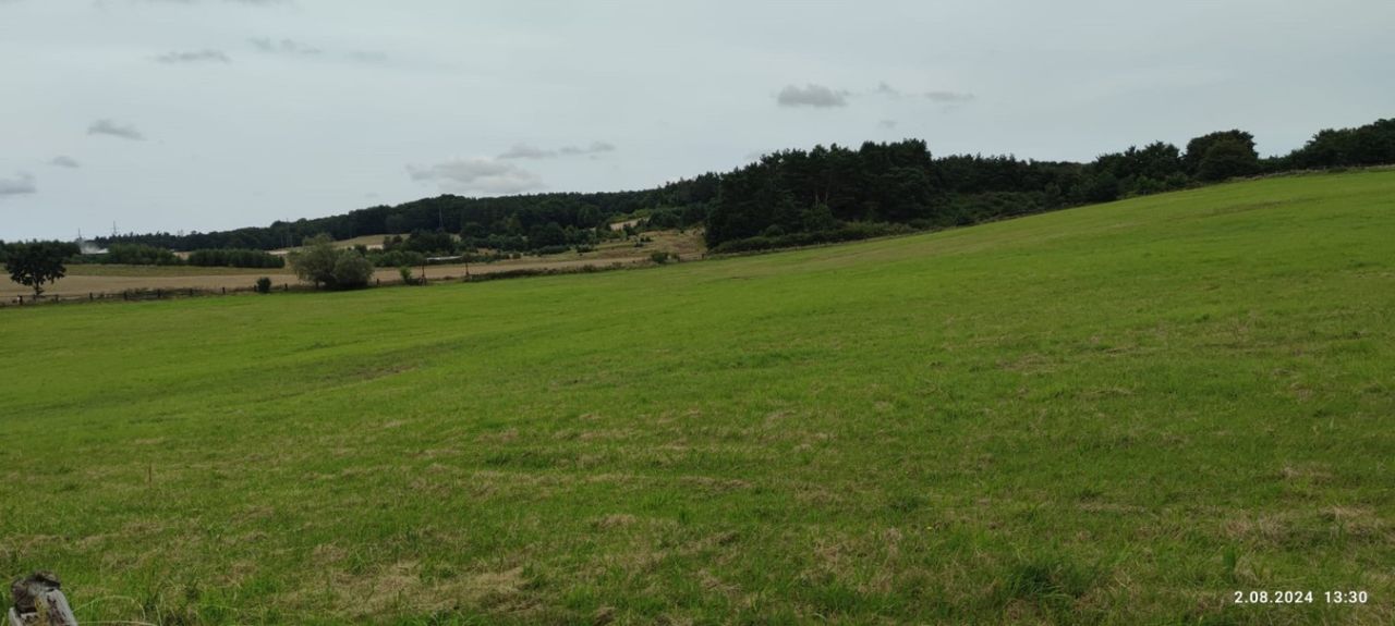 Działka budowlana Sułomino. Zdjęcie 8