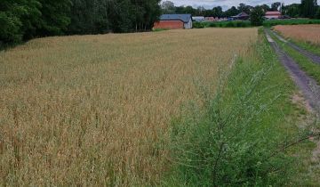 Działka rolno-budowlana Rychwał