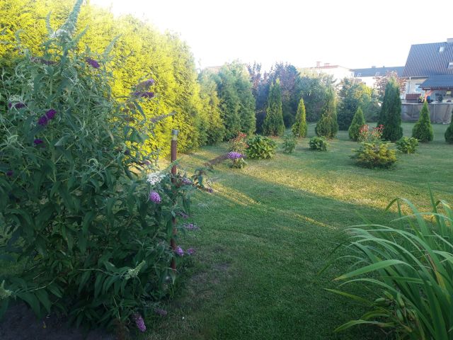 dom wolnostojący, 6 pokoi Strzelce Opolskie Mokre Łany, ul. Wawrzyńca Świerzego. Zdjęcie 21