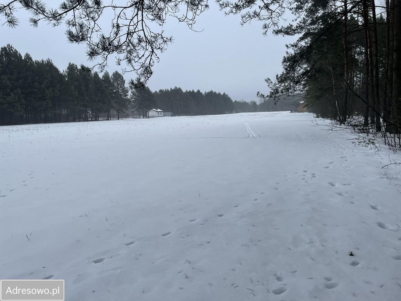 Działka budowlana Kamieńczyk. Zdjęcie 4