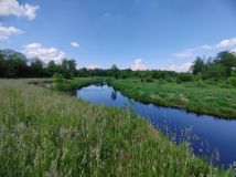 Działka inna Płaciszewo. Zdjęcie 2