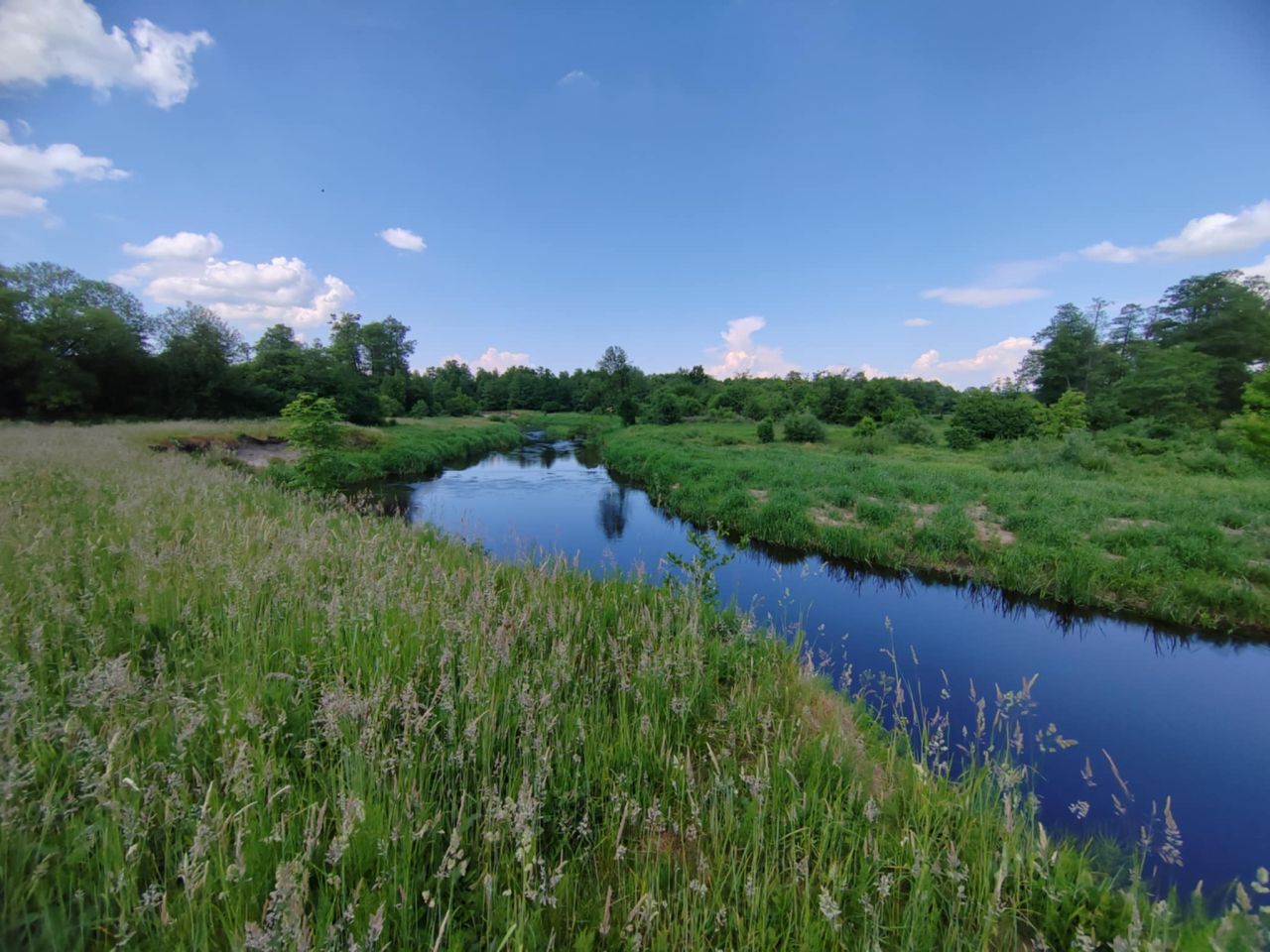 Działka inna Płaciszewo. Zdjęcie 3