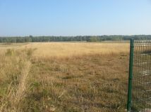 Działka budowlana Rasy. Zdjęcie 1