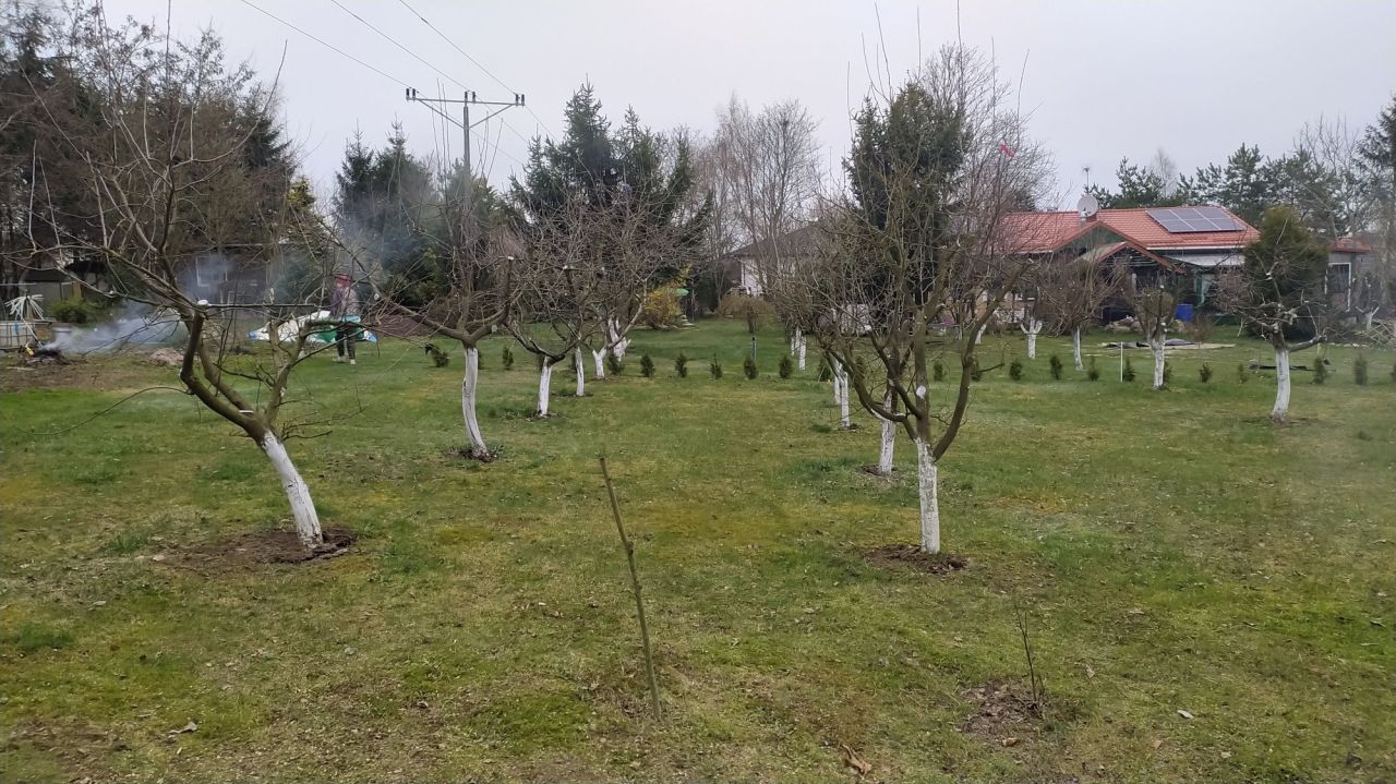 Działka siedliskowa Ząbrowo, ul. Polna. Zdjęcie 5