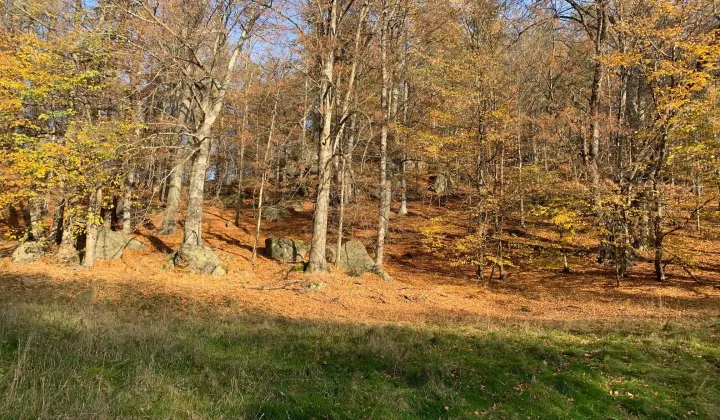 Działka budowlana Staniszów, ul. Witosza