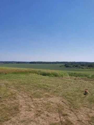 Działka rolno-budowlana Plęsy. Zdjęcie 1