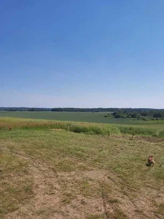 Działka rolno-budowlana Plęsy