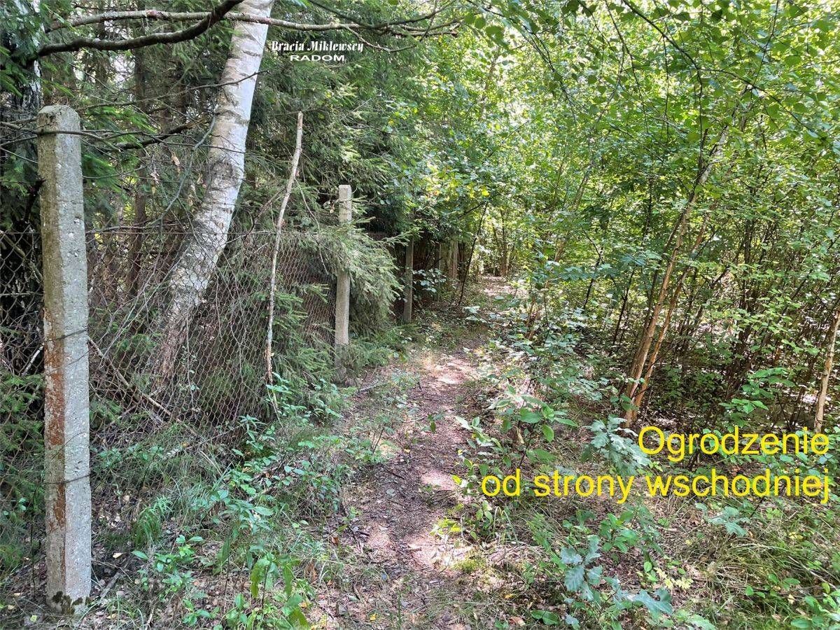 Działka rolna Kotarwice. Zdjęcie 12
