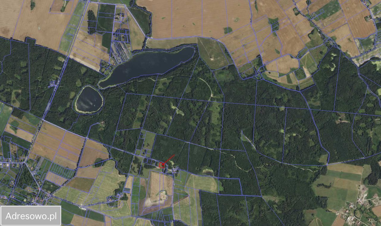 Działka rolno-budowlana Siniec Rypławki. Zdjęcie 3