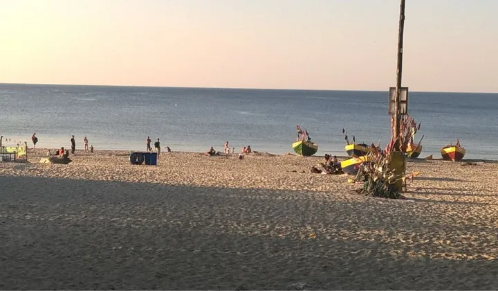 Działka budowlana Stegna, ul. Ogrodowa