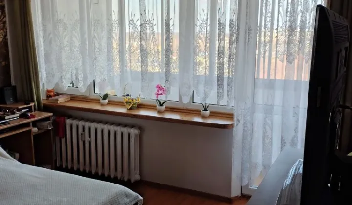 Mieszkanie 1-pokojowe Łódź Widzew