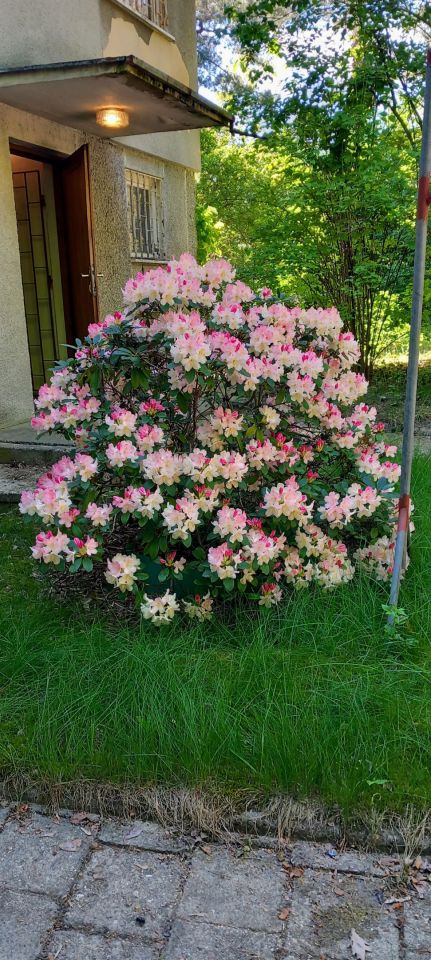 dom wolnostojący, 5 pokoi Otwock Świder, ul. Pogodna. Zdjęcie 20