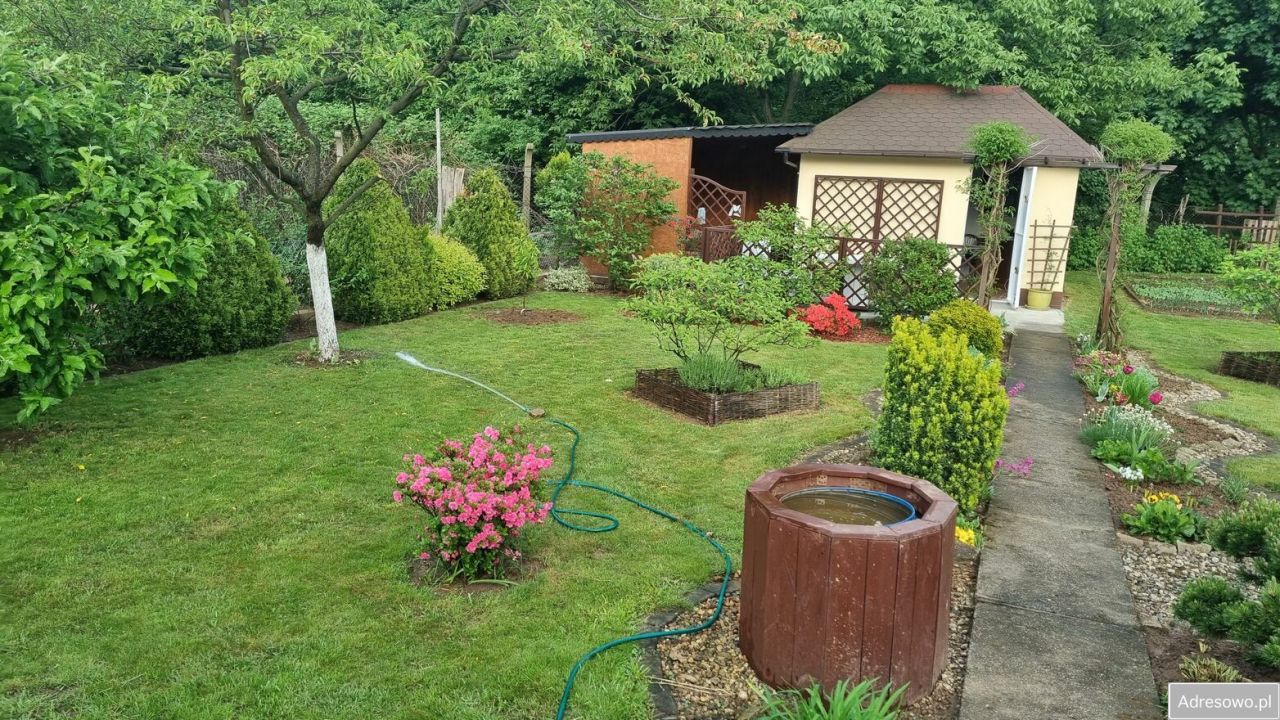 Działka rod Legnica, ul. Ogrodowa. Zdjęcie 7