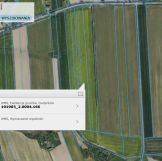 Działka rolna Jelno. Zdjęcie 1