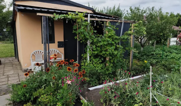 Działka rod Ostrowiec Świętokrzyski Kolonia Robotnicza, ul. Kolonia Robotnicza