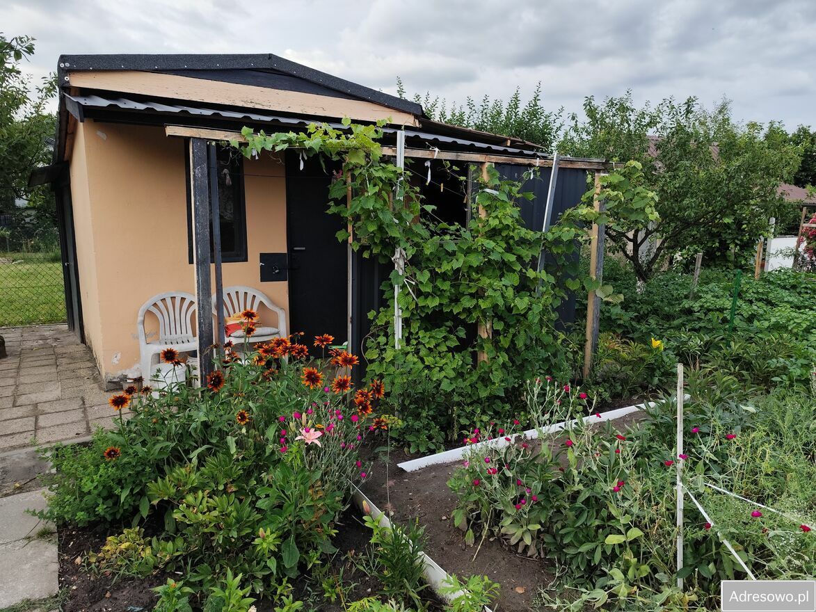 Działka rod Ostrowiec Świętokrzyski Kolonia Robotnicza, ul. Kolonia Robotnicza