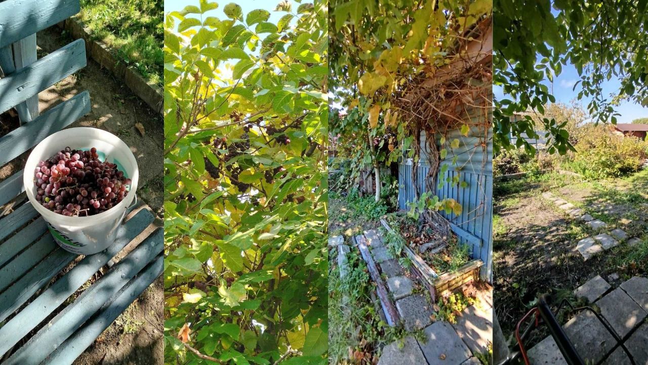 Działka rod Białystok Dojlidy, ul. Adama Mickiewicza. Zdjęcie 7