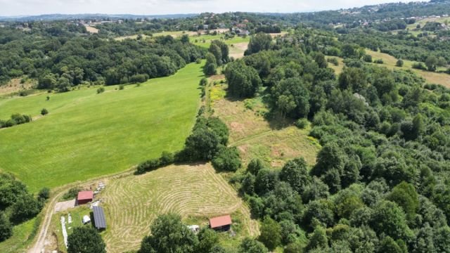 Lokal Gaj Brzyczyna, ul. Spadzista. Zdjęcie 4