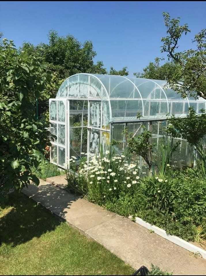 Działka rod Gryfino. Zdjęcie 6