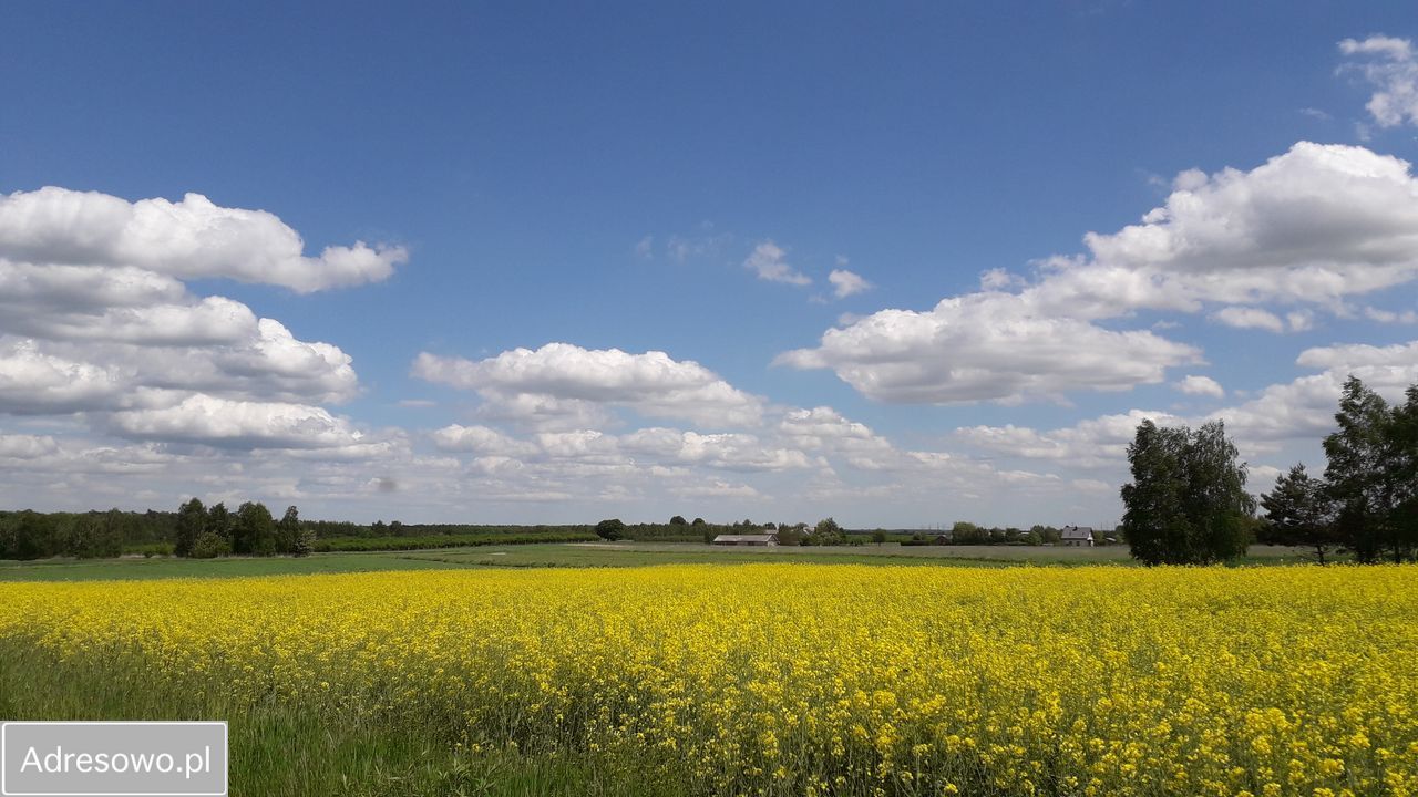 Działka budowlana Swoboda. Zdjęcie 13