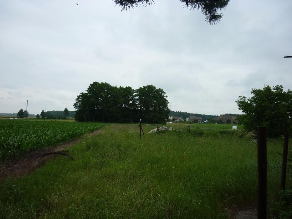 Działka budowlana Rojew. Zdjęcie 8