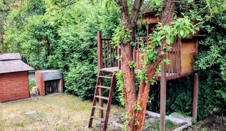 Działka rod Zielona Góra Jędrzychów, 35-lecia ROD