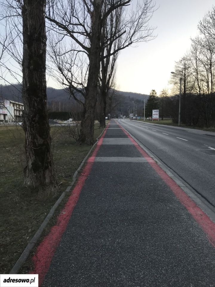 Zdjęcie 3