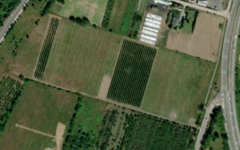 Nieruchomość komercyjna Tarczyn, ul. Warszawska. Zdjęcie 7