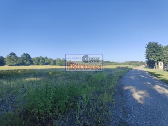 Działka rolno-budowlana Papiernia. Zdjęcie 9