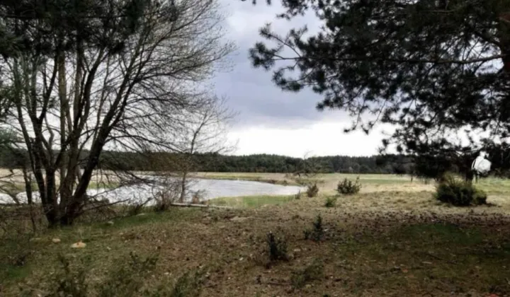 Działka rekreacyjna Trzebca