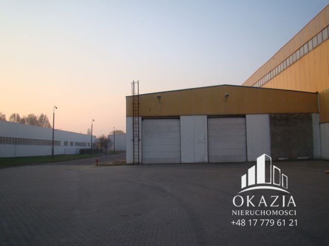Hala/magazyn Piła, ul. Jana Styki. Zdjęcie 2