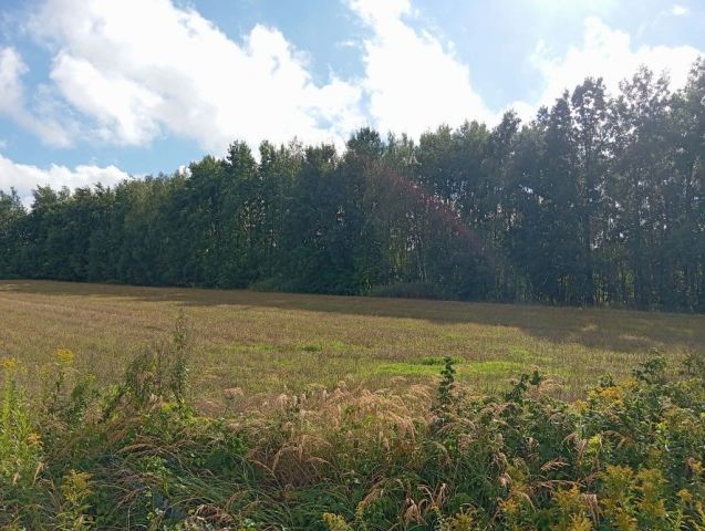 Działka rolno-budowlana Sulejów. Zdjęcie 1