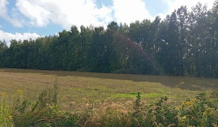 Działka rolno-budowlana Sulejów