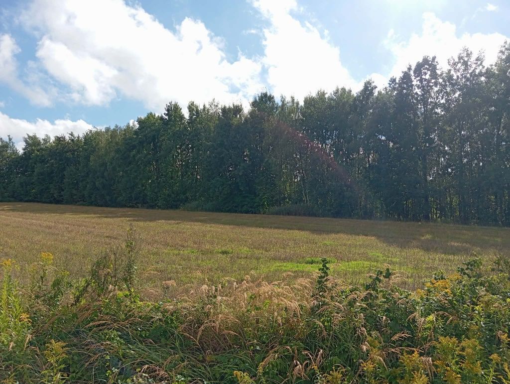 Działka rolno-budowlana Sulejów. Zdjęcie 1