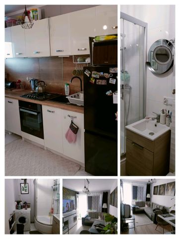 Mieszkanie 2-pokojowe Łęczna, ul. Gwarków. Zdjęcie 1