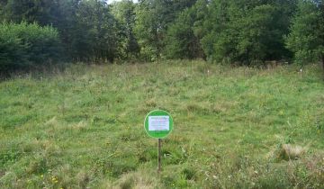 Działka rekreacyjna Wylazłowo