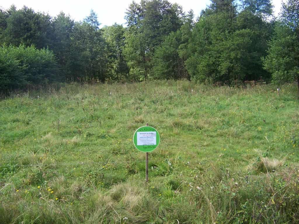 Działka rekreacyjna Wylazłowo