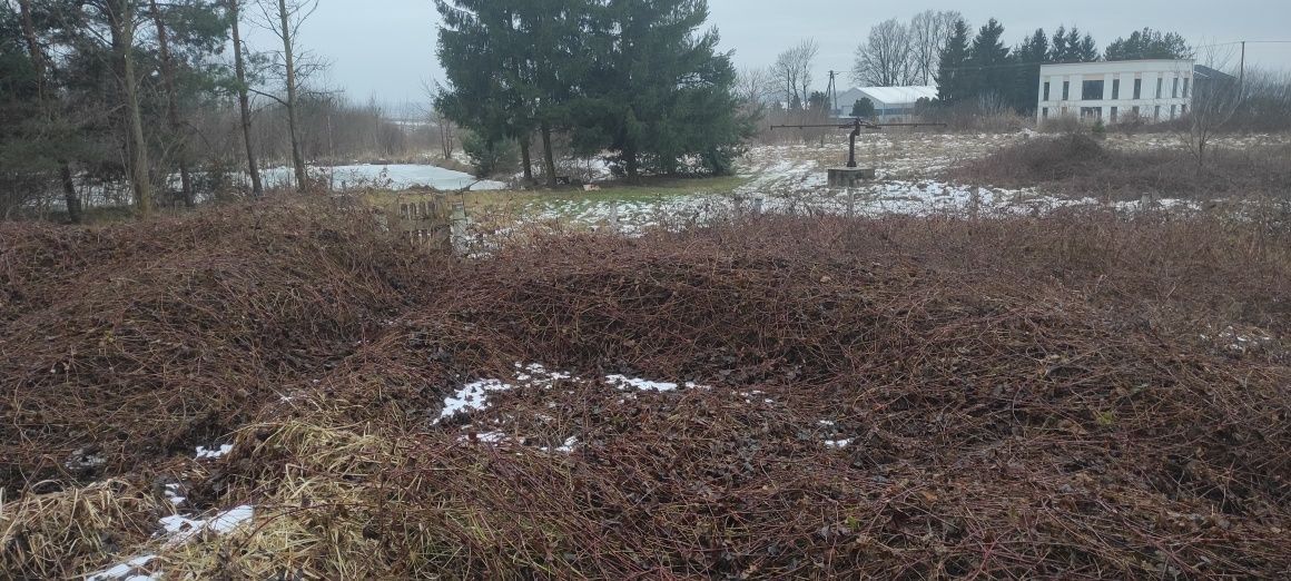 dom wolnostojący Gola Wąsoska. Zdjęcie 2