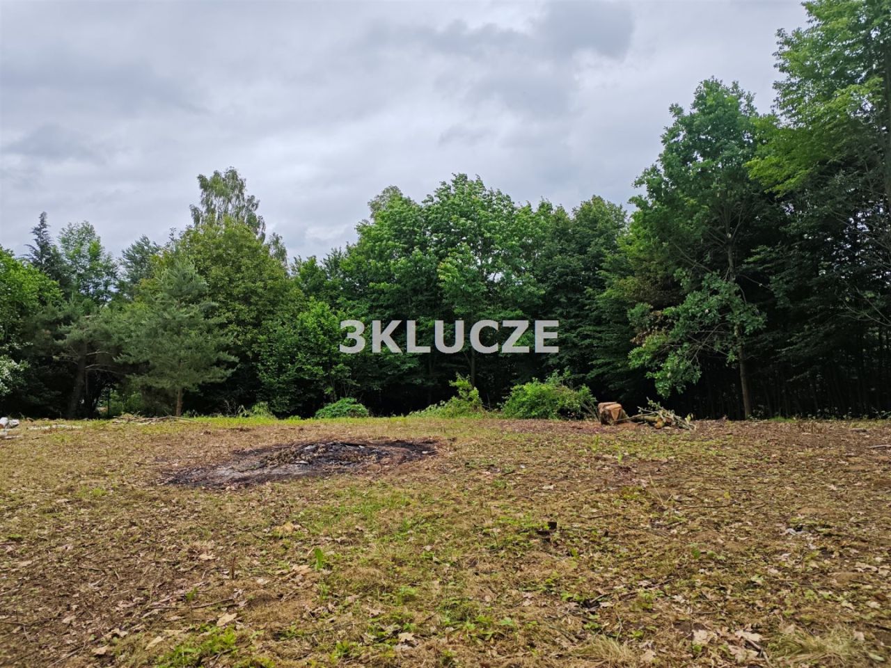 Działka budowlana Dąbrowica. Zdjęcie 3