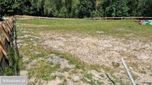 Działka budowlana Wilcza. Zdjęcie 3