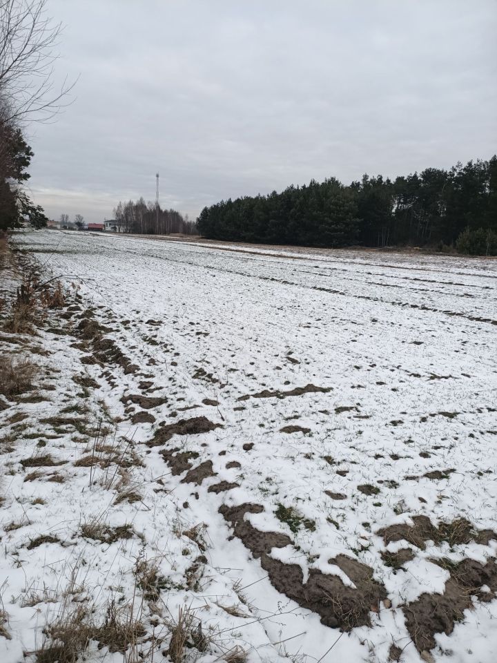 Działka rolna Poświętne. Zdjęcie 3