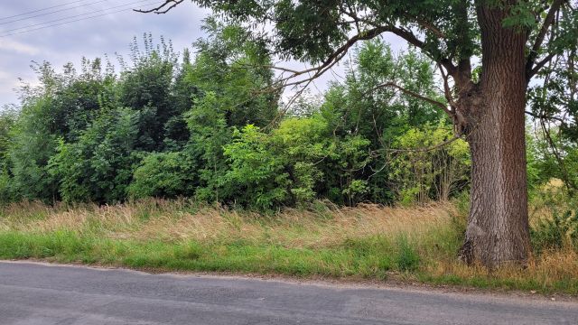 Działka budowlana Łekno, ul. Komendanta A. Czarneckiego. Zdjęcie 1