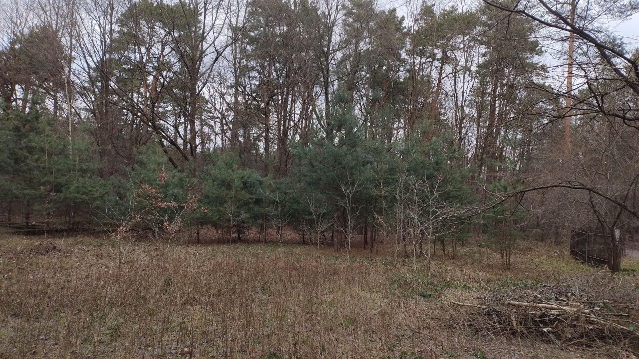 Działka budowlana Zofiówka, ul. Cmentarna. Zdjęcie 25