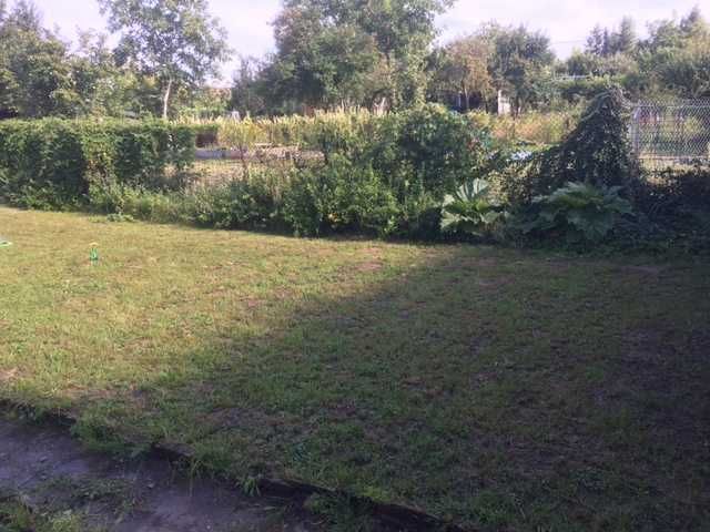 Działka rod Rypin. Zdjęcie 3