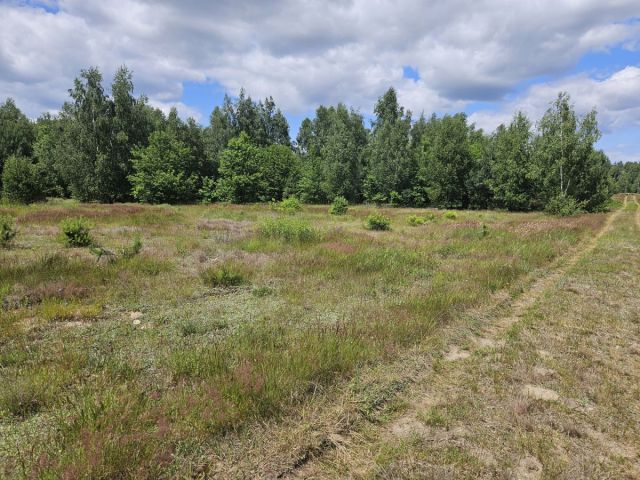 Działka budowlana Stare Wrońska. Zdjęcie 11