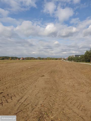 Działka budowlana Skrzeszew, ul. Polna. Zdjęcie 1