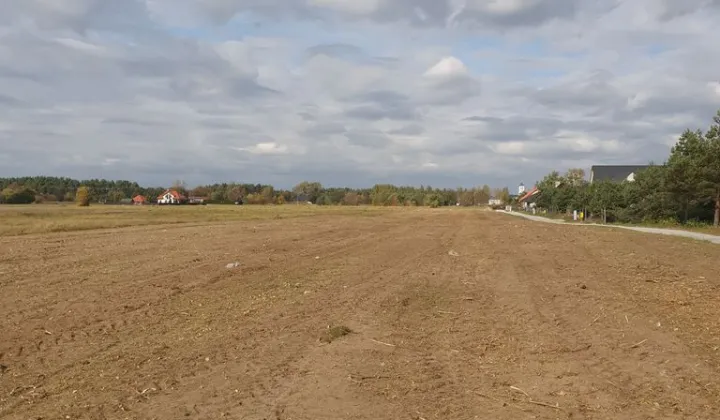 Działka budowlana Skrzeszew, ul. Polna