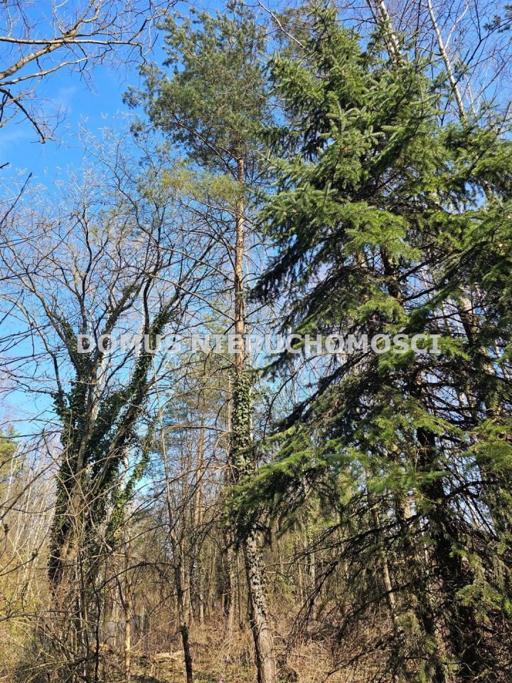 Działka Kopanka. Zdjęcie 3